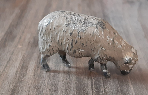 Merino schaf britains - schaf, blei