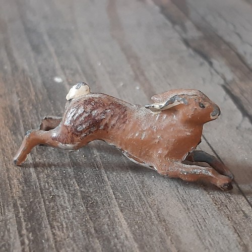 Hase rabbit bunny - hase, ostern